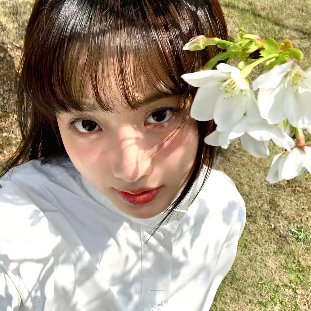 温柔的慈悲